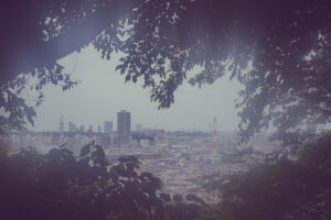 写真作品