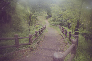 写真作品
