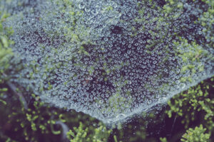 写真作品