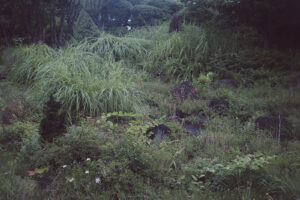 写真作品