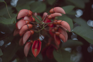 写真作品