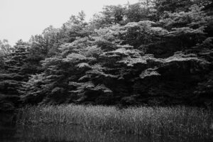 写真作品