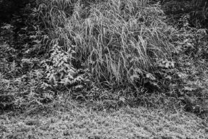 写真作品