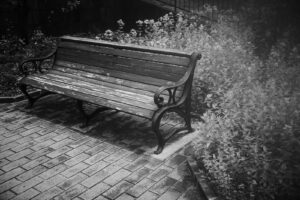 写真作品