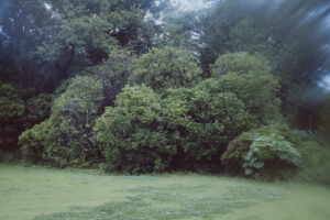 写真作品