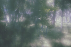 写真作品