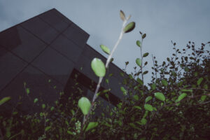 写真作品