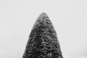写真作品