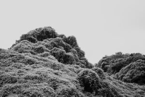 写真作品