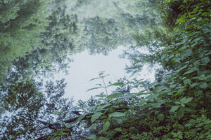写真作品
