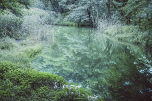 写真作品