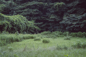 写真作品