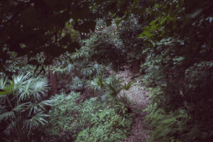 写真作品