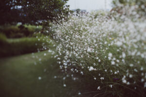 写真作品