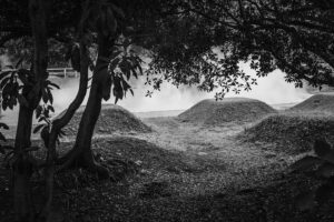 写真作品