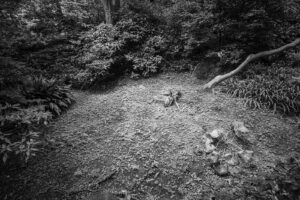 写真作品