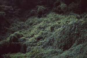 写真作品