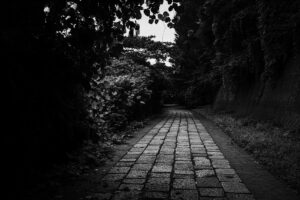 写真作品
