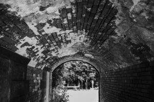 写真作品