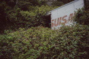 カメラ：SONY α7CII 207