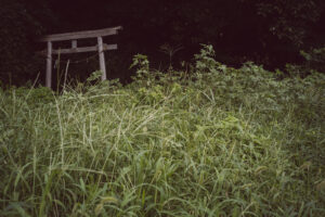 カメラ：SONY α7CII 204