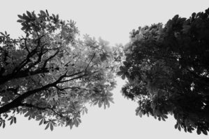 カメラ：SONY α7CII 148