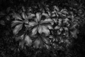 カメラ：SONY α7CII 143