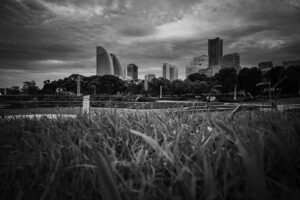 カメラ：SONY α7CII 135