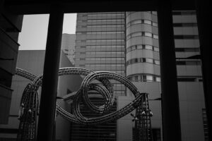 カメラ：SONY α7CII 118