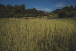 カメラ：SONY α7CII 109