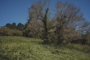 カメラ：SONY α7CII 106