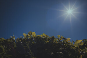カメラ：SONY α7CII 107