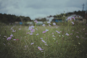 カメラ：SONY α7CII 34