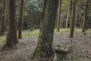 写真一覧 137
