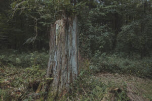 写真一覧 131