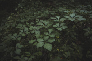 写真一覧 128