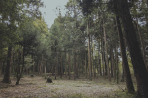 写真一覧 122