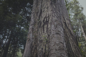 写真一覧 121