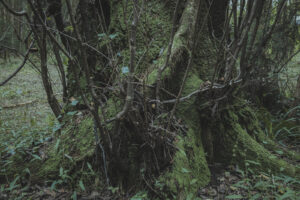 写真一覧 119