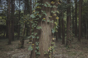 写真一覧 114