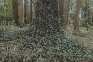 写真一覧 113