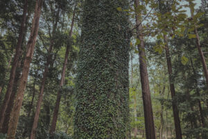 写真一覧 112