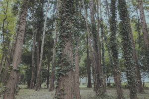 写真一覧 111
