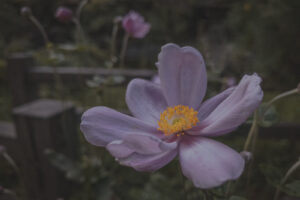 写真一覧 104