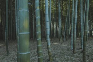 写真一覧 72