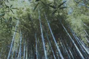 写真一覧 70