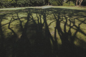 写真一覧 68